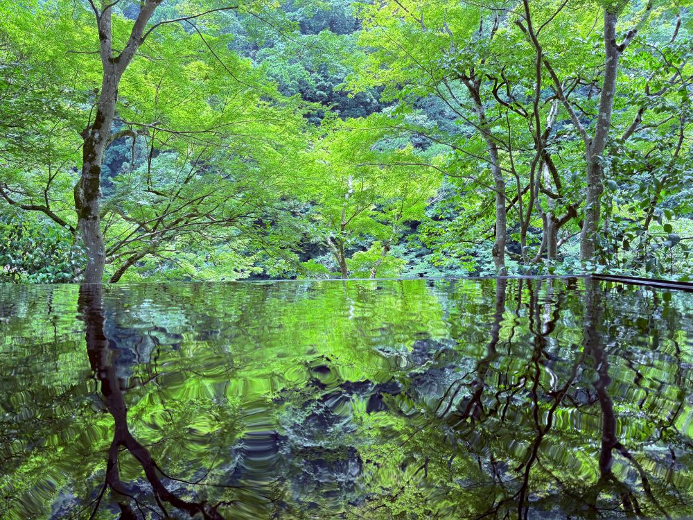 キャリア＝仕事ではなく、キャリアは私たちの生き方そのもの